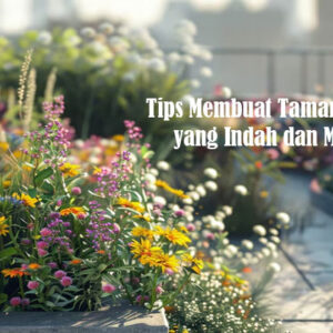 memulai membuat taman rumah